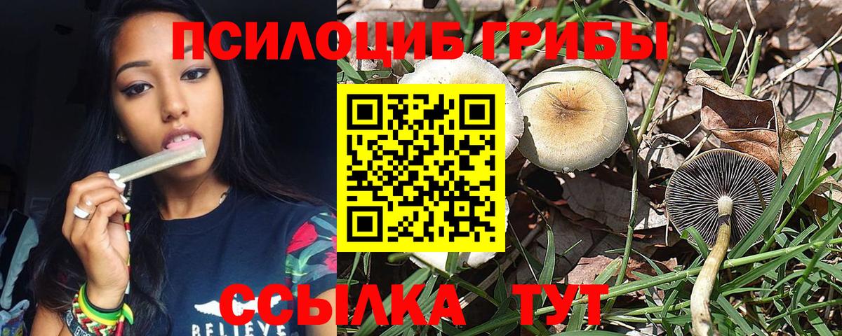 Псилоцибиновые грибы ЛСД  Галлюциногенные грибы MAGIC MUSHROOMS  Муром  Вход с VPN 
