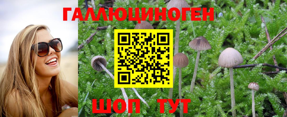 Галлюциногенные грибы Magic Shrooms Муром